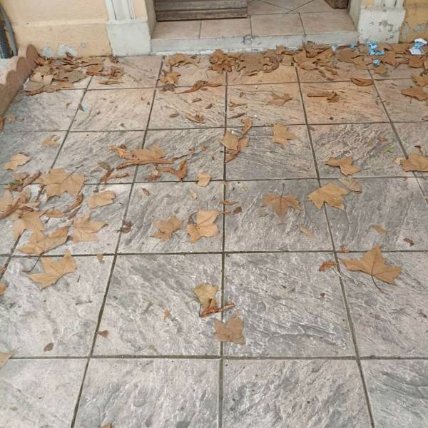 terrasse avant nettoyage